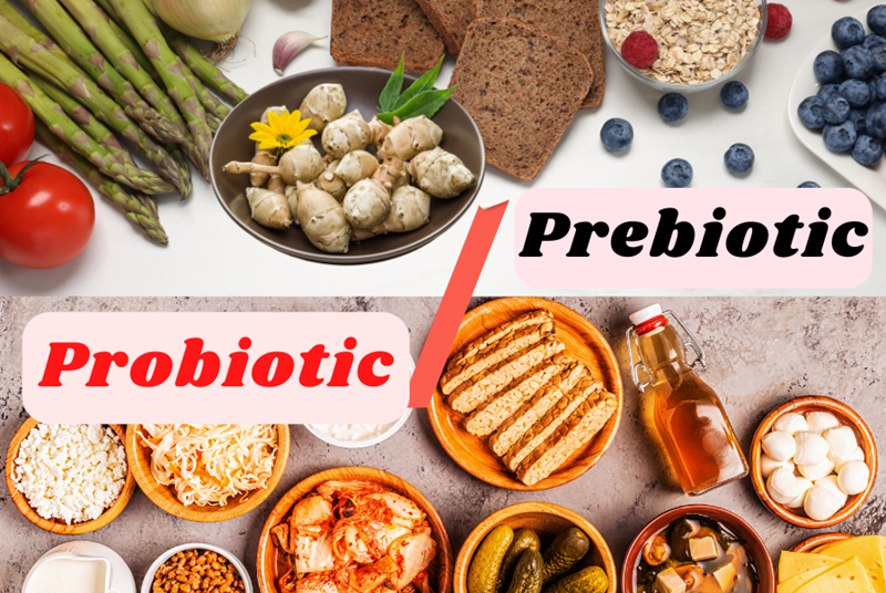 Probiotics và Prebiotics - một trong số các loại thuốc bổ cho gà đá tốt nhất